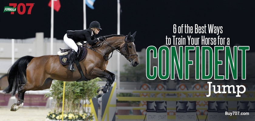 Best Way To Train A Horse
