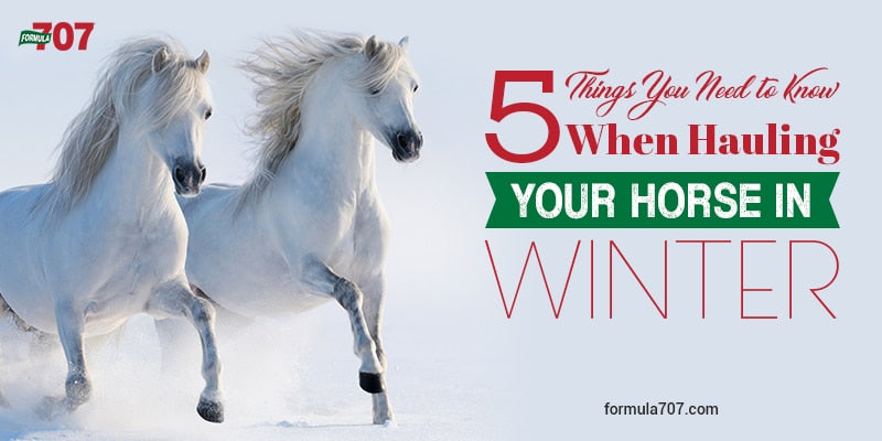 5 Things You Need to Know When Hauling Your Horse in Winter
