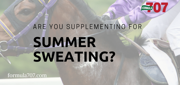 Are You Supplementing for Summer Sweating?