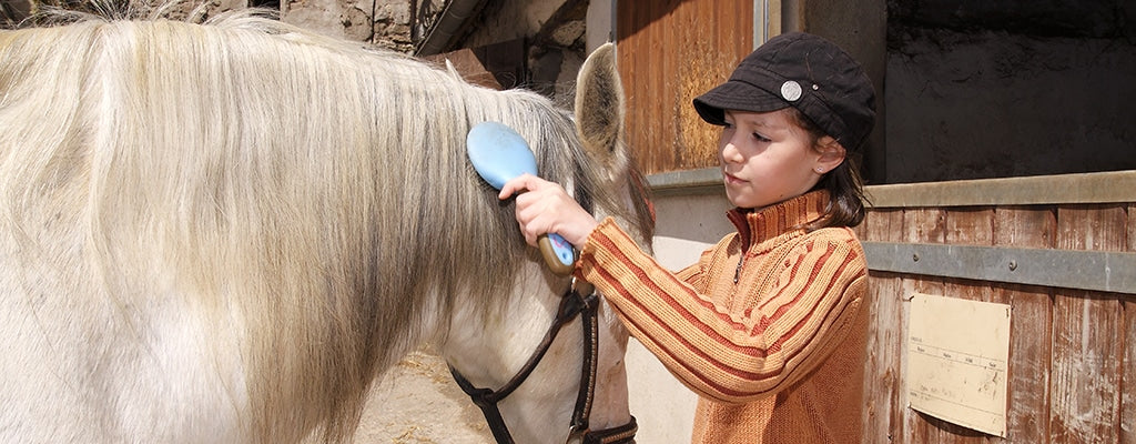 8 Ways to Feel Closer and More Connected to Your Horse