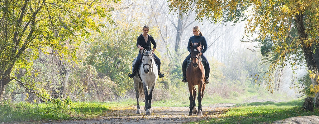 Warmer Weather Reminders for Horse Owners