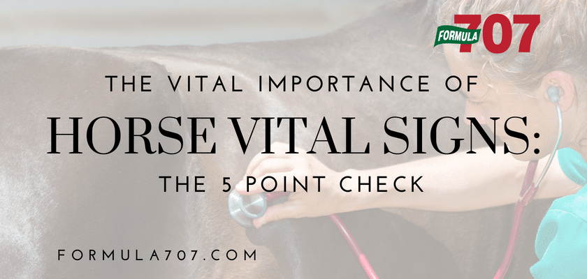 The Vital Importance of Vital Signs: The 5 Point Check