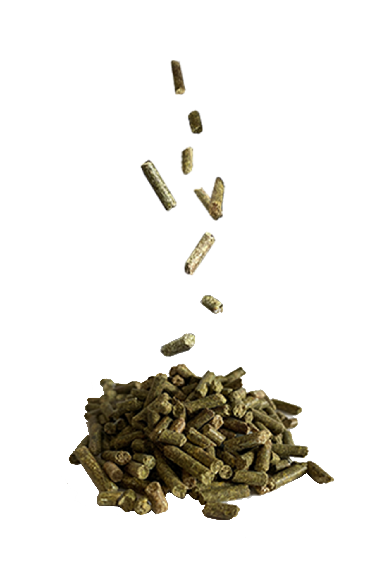 Alt image