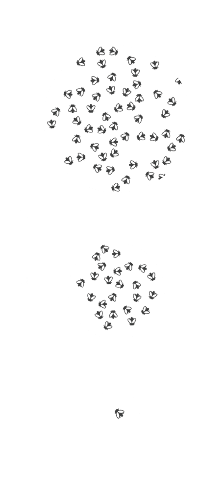Alt image