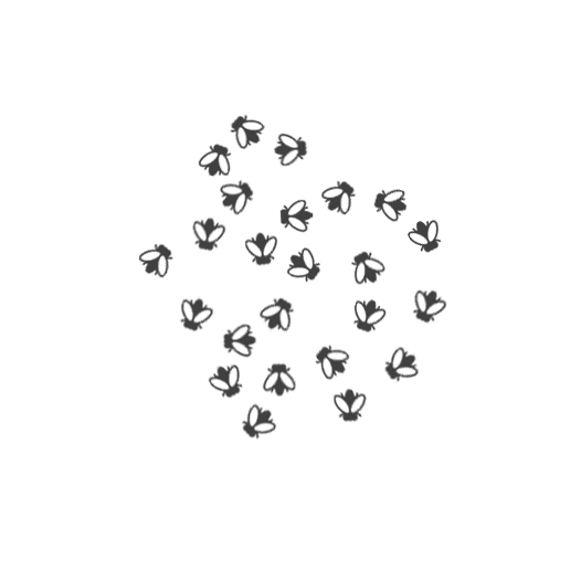 Alt image