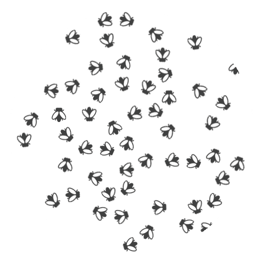 Alt image