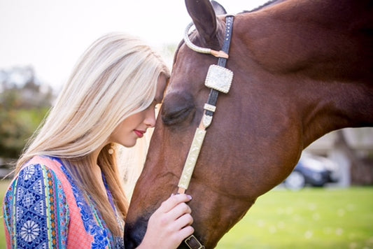 10 Tips for Boarding Your Horse | Part 1