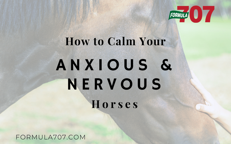 How to Calm Your Anxious and Nervous Horses Formula 707®