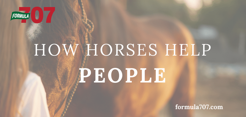 How Horses Help People