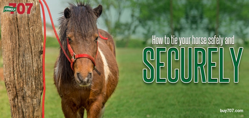 How to Tie Your Horse Safely and Securely